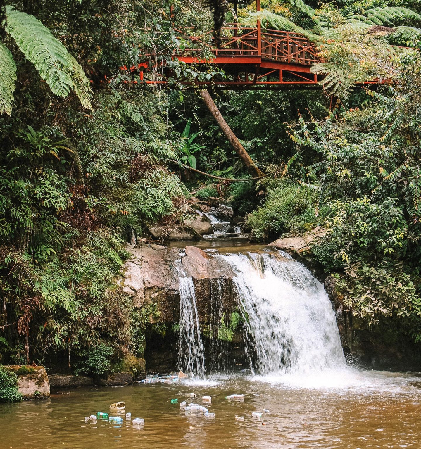 Taman Eko Rimba Parit Falls Cameron Highlands Malaysia