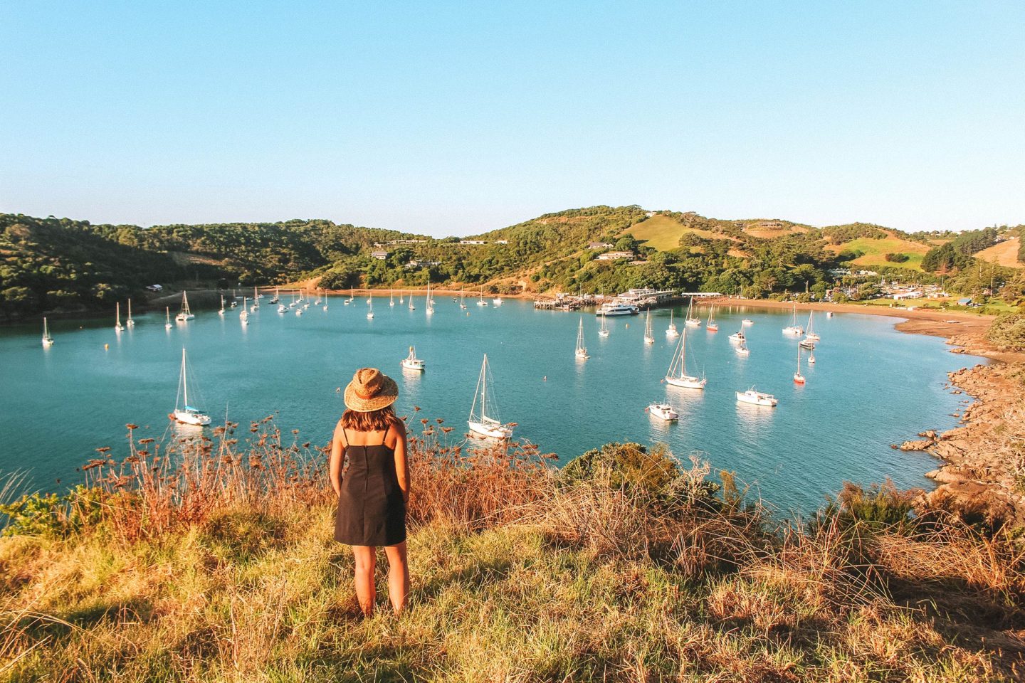 Auckland itinerary - perfect 1, 2 or 3 days in Auckland