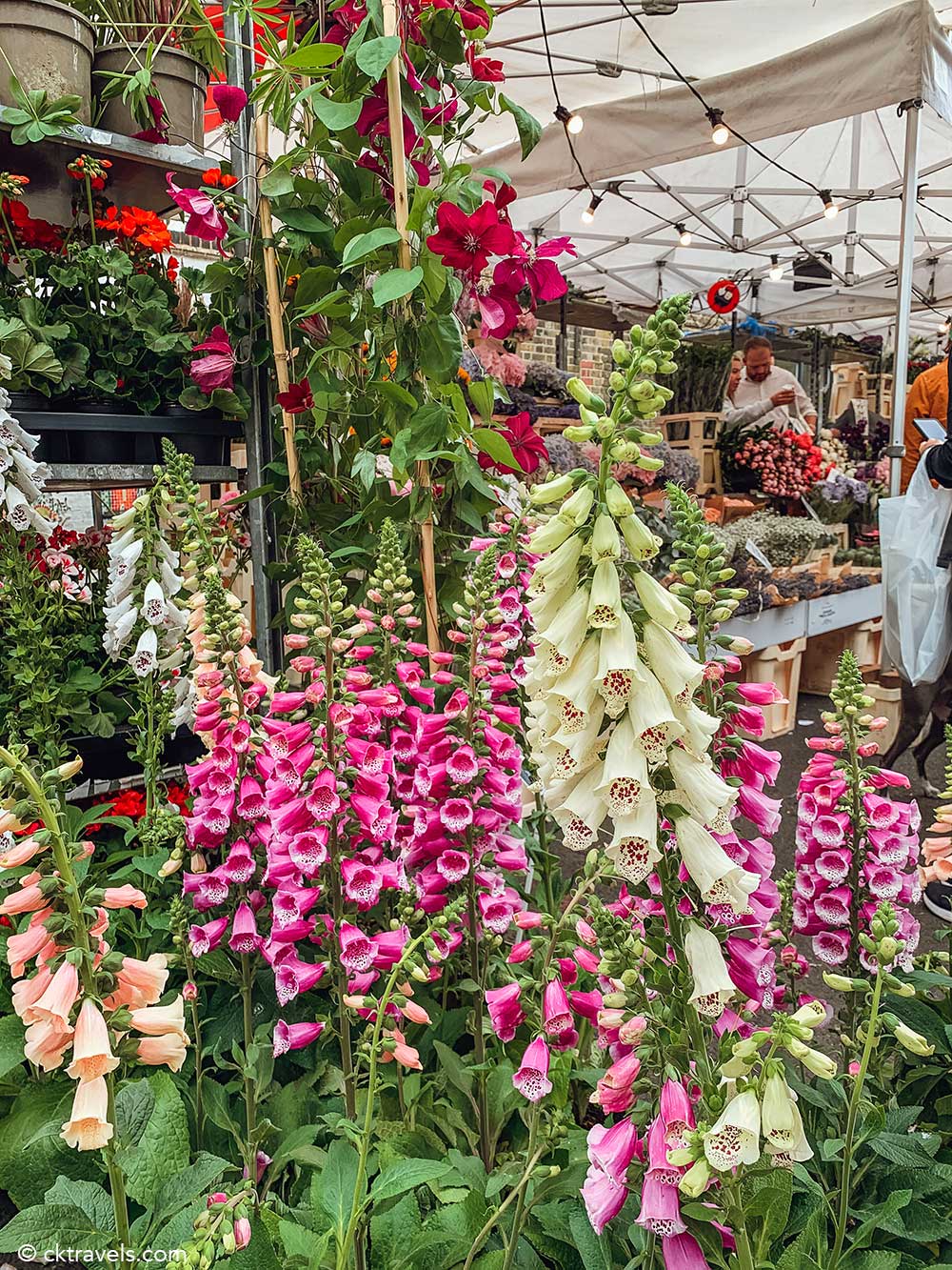Columbia Road flower market - Instagrammable Places in London - Best Photo Spots