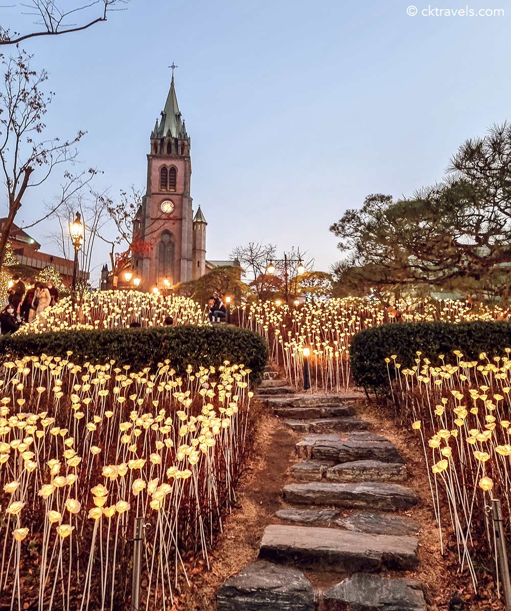 Myeongdong Cathedral Christmas Lights Seoul