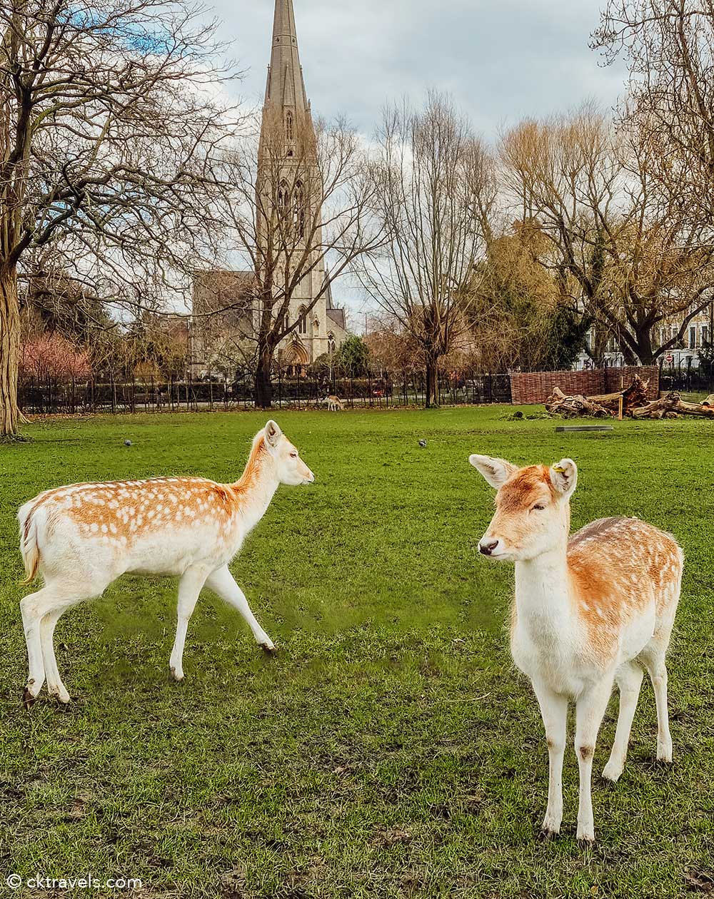 Clissold Park Deer and Goat Enclosure, Stoke Newington