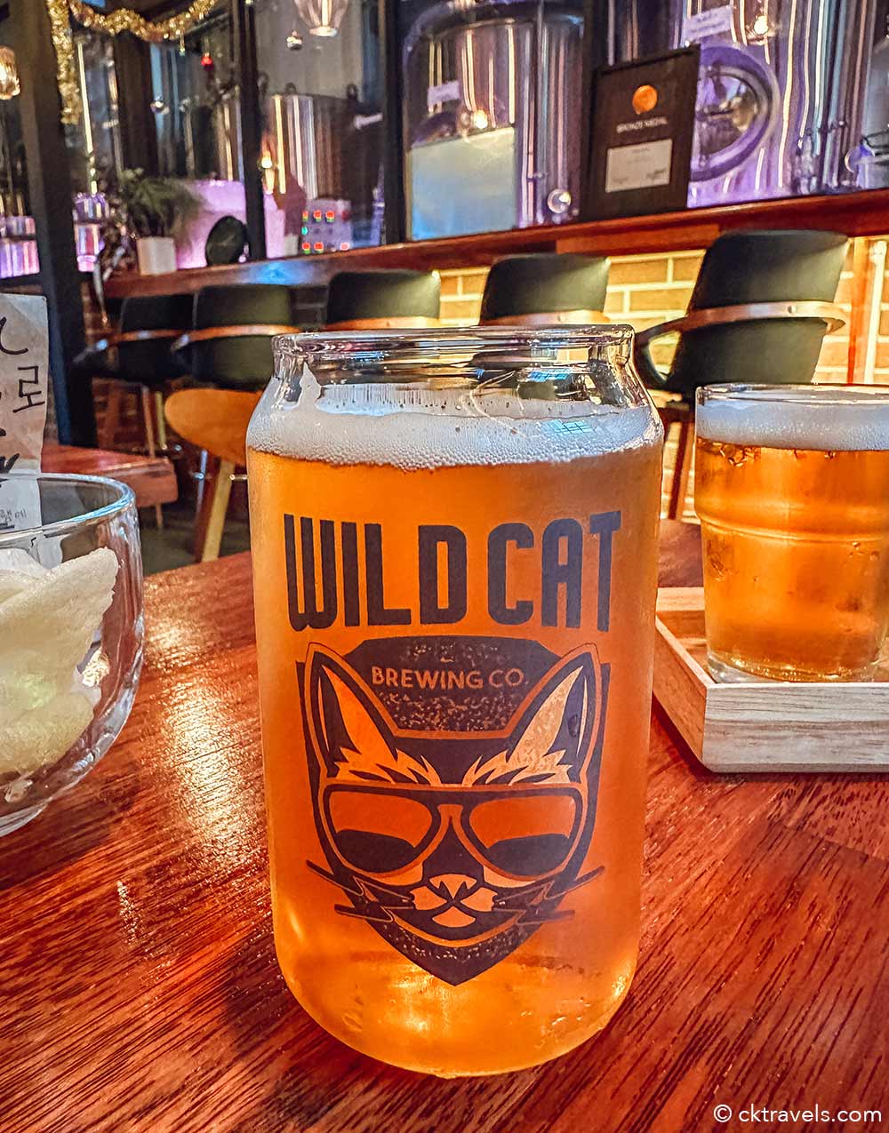 Wildcat Brewing Co Craft beer bar in Busan South Korea