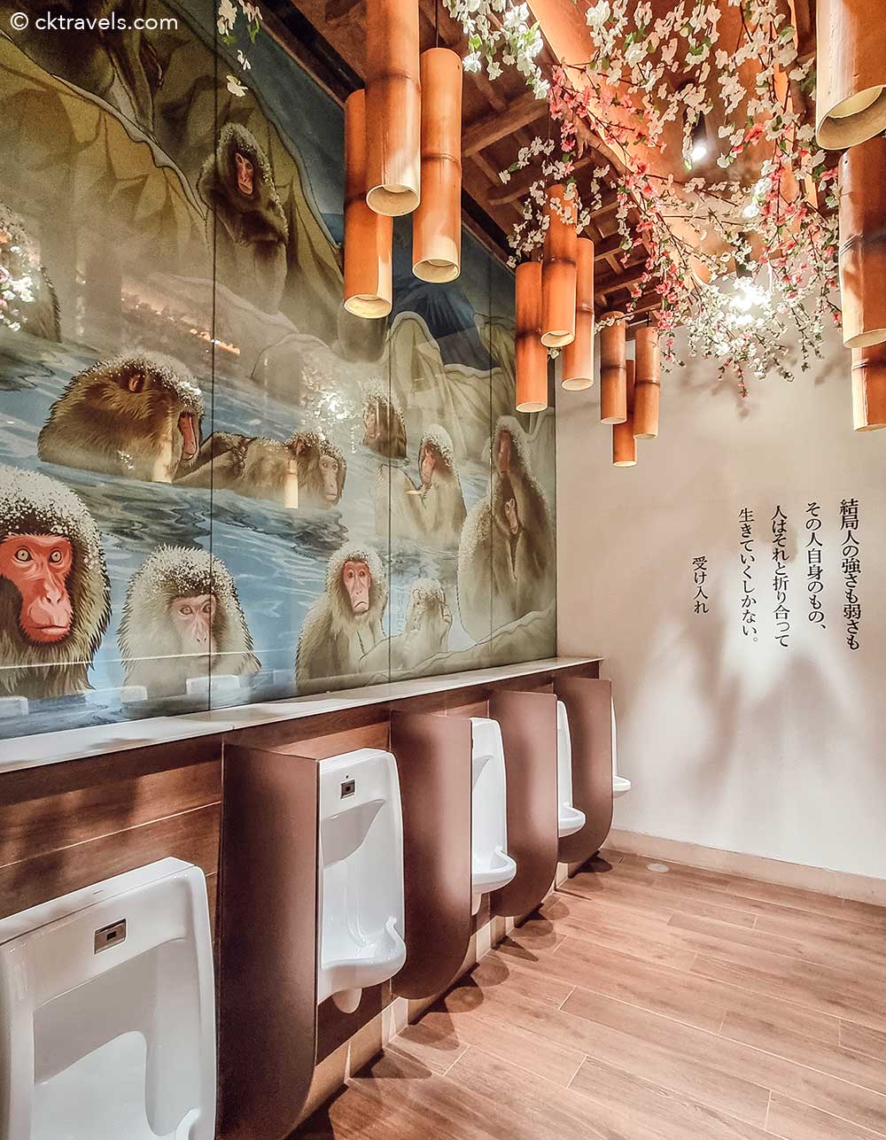 Japan Snow Monkey / onsen bathrooms, Terminal 21 Rama3 restrooms