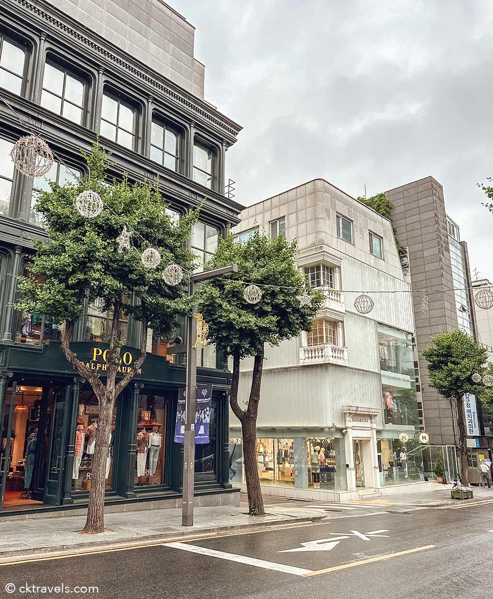 Garosu-gil shopping street - Where to stay in Seoul / Best Neighborhoods