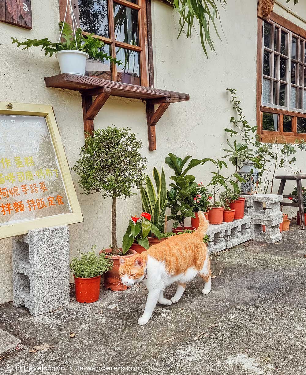 Houtong Cat Village Pingxi Line Taiwan