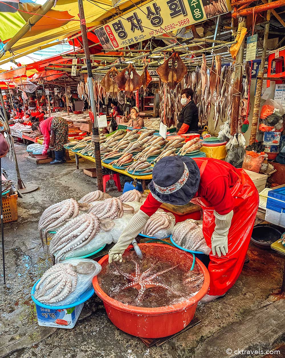 Jagalchi Fish Market - things to do in Busan