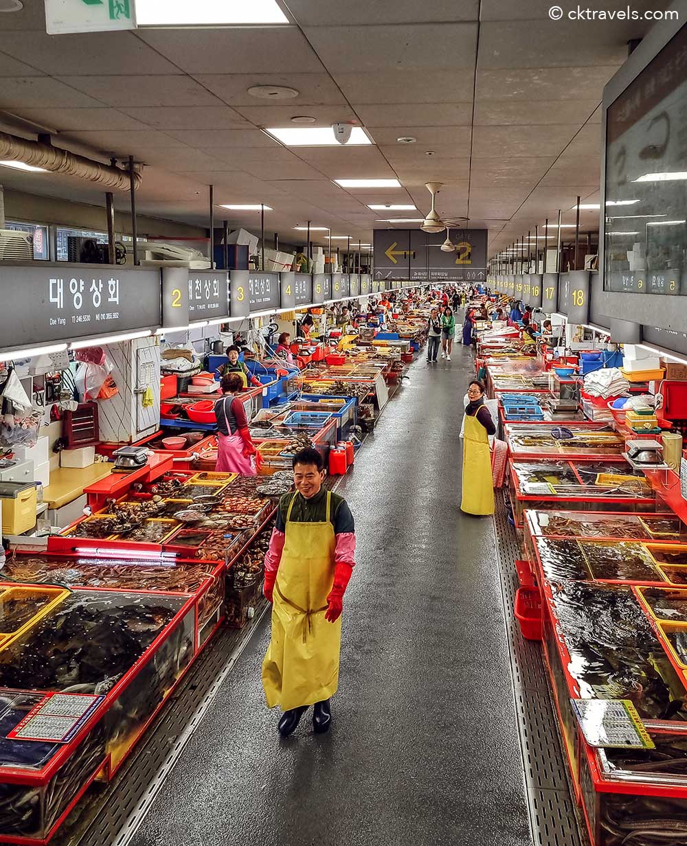 Jagalchi Fish Market - things to do in Busan