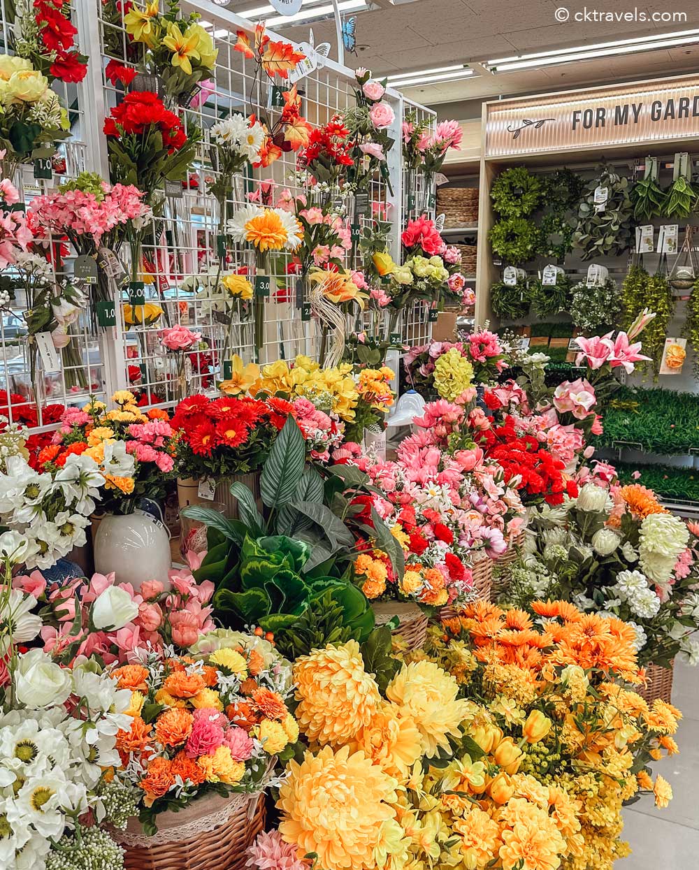 12 floor Daiso in Myeongdong Seoul - Gardening and flowers
