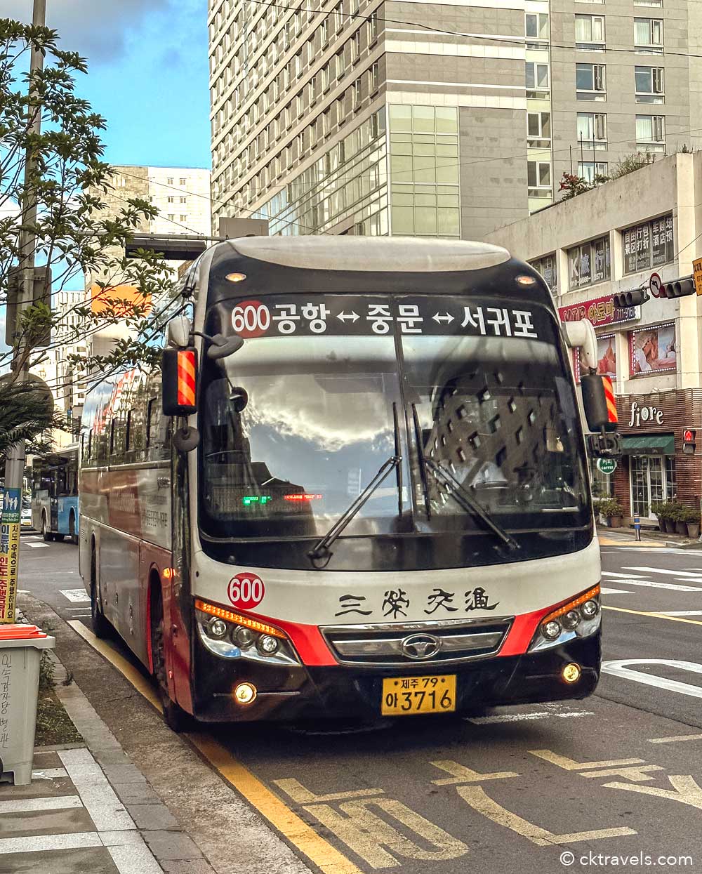 Jeju Airport Limousine Bus 600 Guide