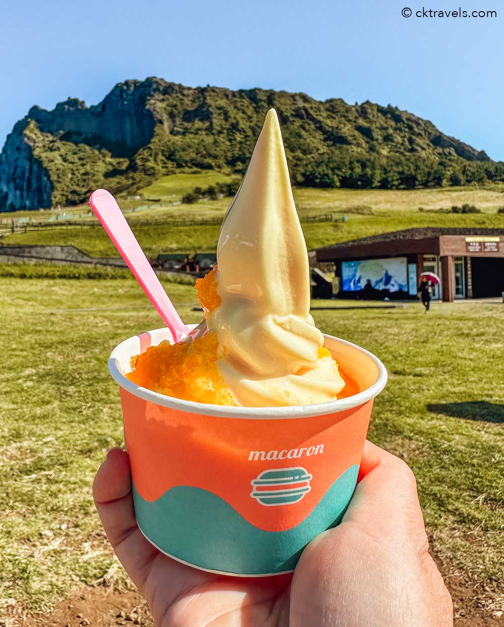 Jeju Island Hallabong tangerines and oranges ice cream