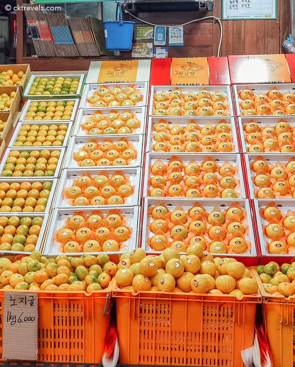 Jeju Island Hallabong tangerines and oranges