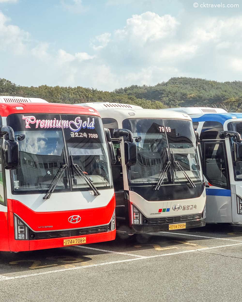 south korea buses
