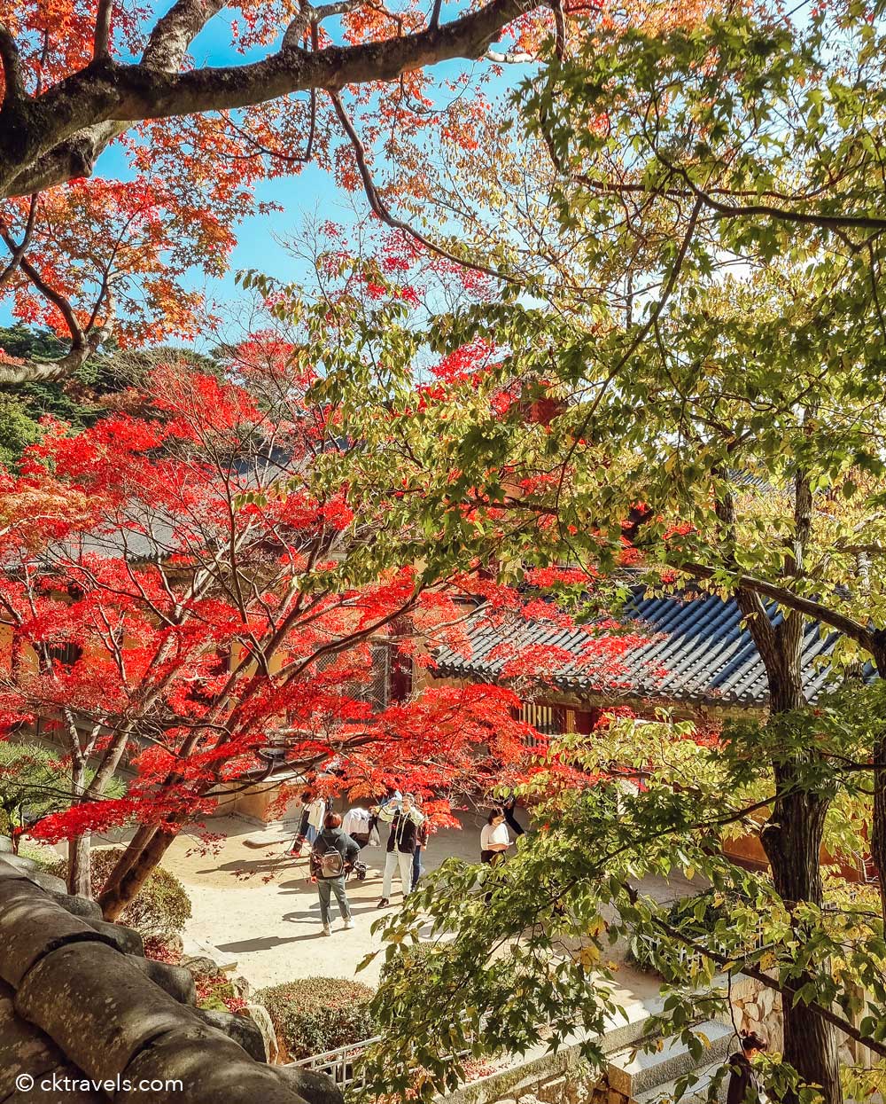 Bulguksa Temple in Gyeongju, South Korea in autumn / fall October