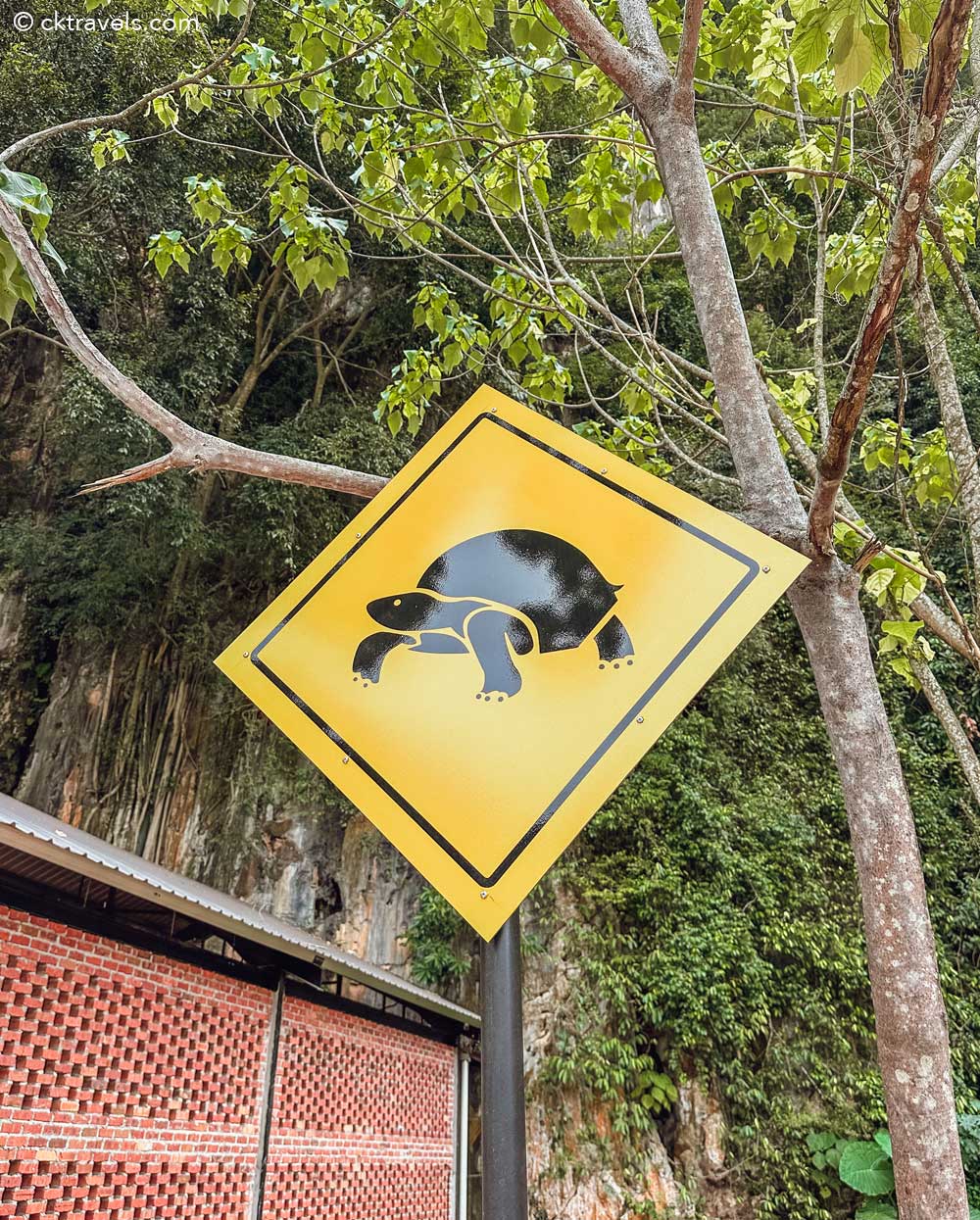 turtle sign Tasik Cermin (Mirror Lake) in Ipoh