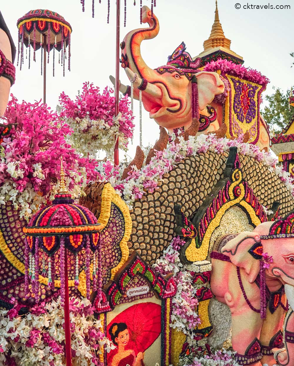 Chiang Mai Flower Festival 